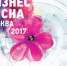 Бизнес весна - Район Крюково ЗелАО Москвы