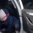 4-летняя девочка одна гуляла вдоль Пятницкого шоссе под Зеленоградом - Netall.Ru