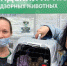 Животные из приюта - Префектура ЗелАО