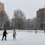 Искусственный лед - Район Матушкино ЗелАО