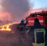 Травяной пожар под ЛЭП в Алабушево тушили более двух часов - Netall.Ru