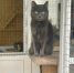 WhatsApp Image 2022-08-08 at 20.15.50 (1).jpeg - Zelenograd-News.Ru