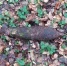 2.jpeg - Zelenograd-News.Ru