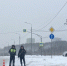 В Зеленограде задержали таксиста с мефедроном - Netall.Ru
