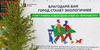 В Зеленограде можно сдать новогодние елки в пункты сбора - Газета Вести Матушкино
