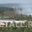 Между Зеленоградом и Алабушево снова разгорелся лесной пожар - Netall.Ru