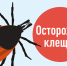 Сезон активности: клещи - Район Матушкино