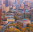 Собянин: Социальные расходы в 2026 году составят половину городского бюджета - Газета Вести Матушкино