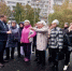 Обходы глав управ. Маршруты на 28 и 29 октября - Netall.Ru