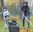 В прошедшем в ЗелАО субботнике участвовали более 1100 человек - Газета Вести Матушкино