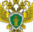 Прокуратура округа примет участие в мероприятии по правовой помощи - Район Матушкино