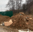 Владелица участка в Черной Грязи выплатит почти 130 тысяч рублей за незаконную свалку - Netall.Ru