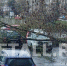 Упавшее дерево заблокировало машины на парковке в 6-м микрорайоне - Netall.Ru